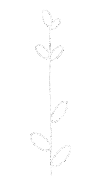 Flower Plant Sticker