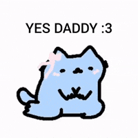 Cat Nub GIF