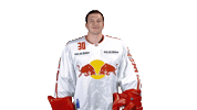 Ice Hockey Wink Sticker by EC Red Bull Salzburg