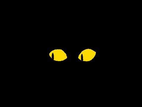 I See You Art GIF by Samuel Davis