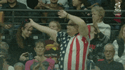 Wave Usa GIF by Fed Cup by BNP Paribas