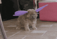 Hey Girl Flirting GIF