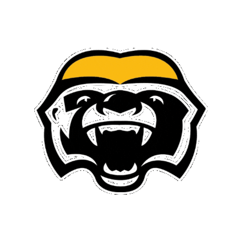 Basketball Nba Sticker by Brampton Honey Badgers