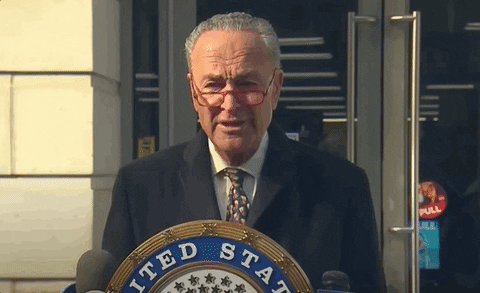 giphyupload giphynewsuspolitics donald trump chuck schumer giphynewsimpeachment GIF