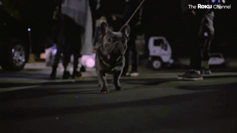 Punkd GIF by The Roku Channel