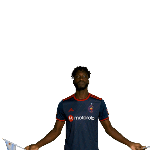 Chicago Fire Reaction Sticker by Chicago Fire Football Club