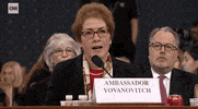 news impeachment impeachment inquiry impeachment hearings day two marie yovanovitch GIF