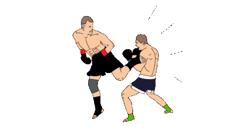 Muay Thai Fight Sticker