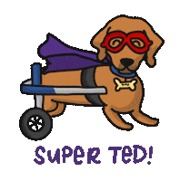 Teddy Sticker