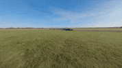 Formula 1 Sport GIF by Mercedes-AMG Petronas Formula One Team