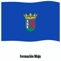 Flag Spain GIF by Formación Ninja