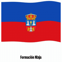 Flag Spain GIF by Formación Ninja