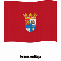 Flag Spain GIF by Formación Ninja