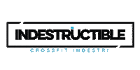 Weindestructible Sticker by CrossFit Indestri