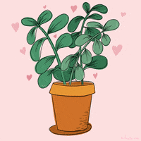 Flower Pot Plant GIF by Katie Vaz