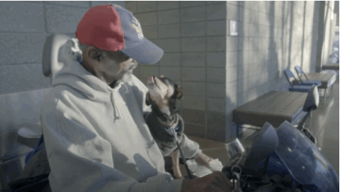 homeless GIF