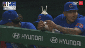 Chicago Cubs Baseball GIF