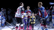 Ice Hockey Sport GIF by NHL