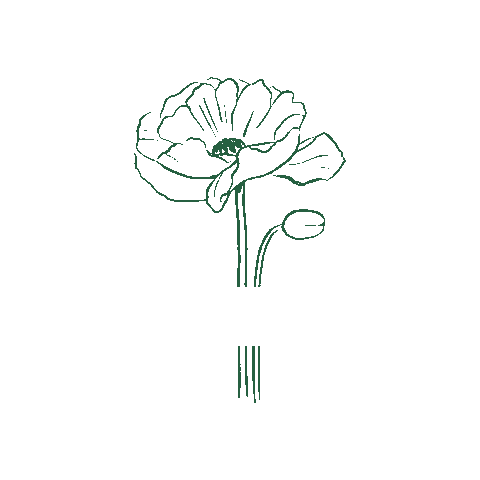 Greek Life Flower Sticker