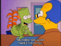 Season 1 GIF by The Simpsons