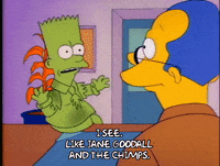 Season 1 GIF by The Simpsons