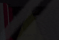 DoYouMoose travel vacation flying trip GIF