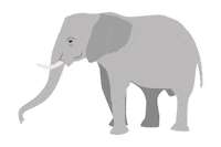 Elephant Sticker by NHM Wien