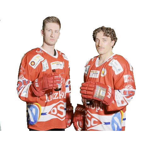 Hockey Pill Sticker by dsc-eishockey