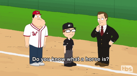 Tbs Network Horse GIF by American Dad