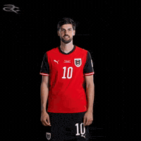 Fifa World Cup Austria GIF by Respective