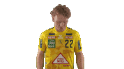Handball-Bundesliga Handball Sticker by LIQUI MOLY HBL