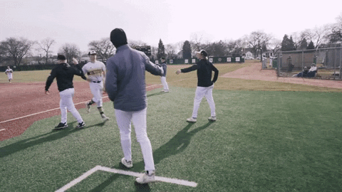 mkepanthers giphyupload baseball college panthers GIF