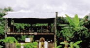 viceland GIF by JUNGLETOWN