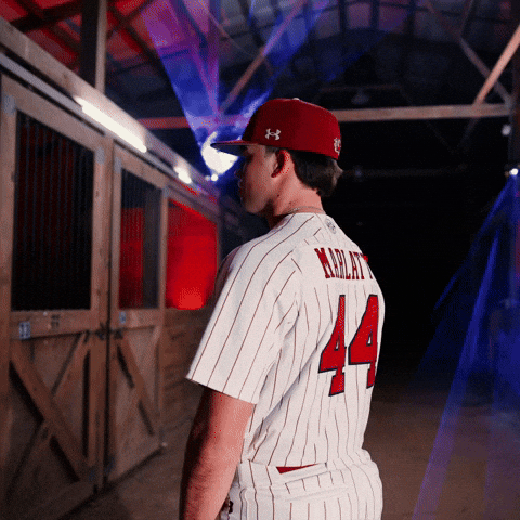 Home Run Celebration GIF by Gamecock Athletics