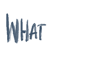 What Am I Sticker by Why Don't We