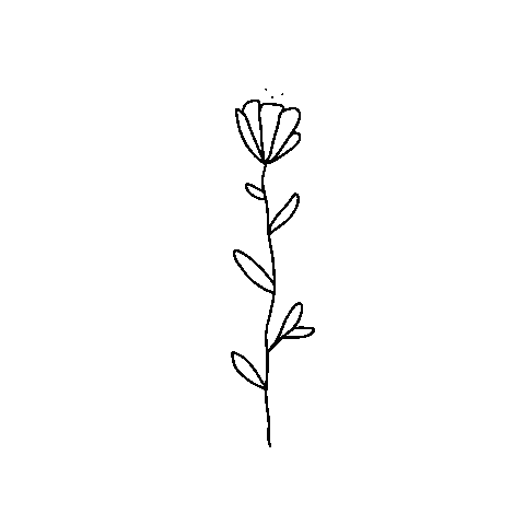 Black And White Flower Sticker for iOS & Android | GIPHY