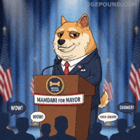 Dog Wow GIF by Doge Pound