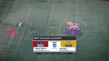 lacrosse GIF by NCAA Championships