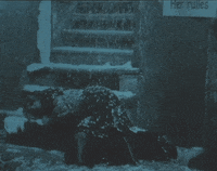 Freezing Silent Film GIF by Det Danske Filminstitut