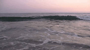 blaanks beach ocean blaanks custom knits GIF