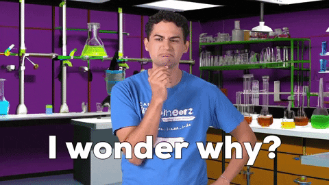 imagineerz i wonder why GIF