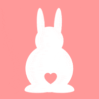 VetZ_petsxl bunny rabbit easter petsxl GIF