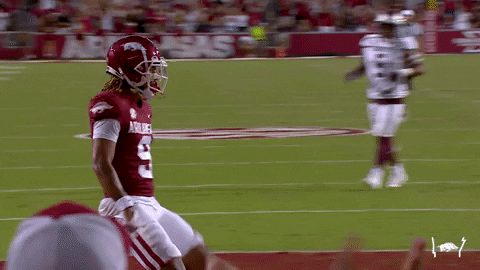 College Football GIF by Arkansas Razorbacks