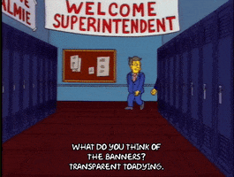 Season 4 Episode 20 GIF by The Simpsons