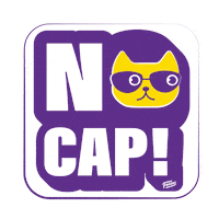 The End Cat Sticker by faasos