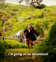 Sad The Lord Of The Rings GIF