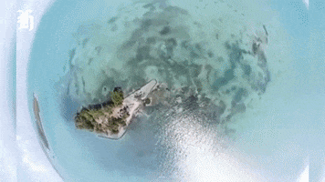 Caribbean Belize GIF by NZH Travel