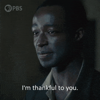 Episode 4 Drama GIF by PBS