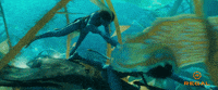 James Cameron Swimming GIF by Regal