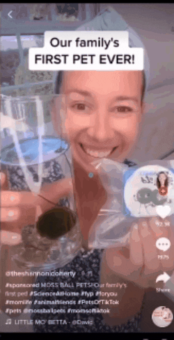 emmealexandra giphyupload GIF